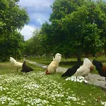 Myland Nature
