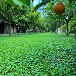 Myland Nature Feriepark 2*