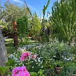 Myland Nature Feriepark