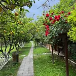 Myland Nature 2* Çıralı