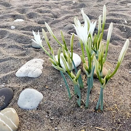 Myland Nature Parque de vacaciones 2*