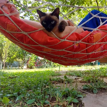 Myland Nature Parque de vacaciones Çıralı