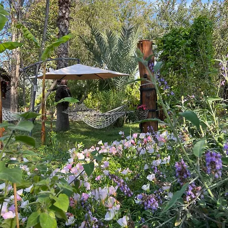 Myland Nature 2* Çıralı