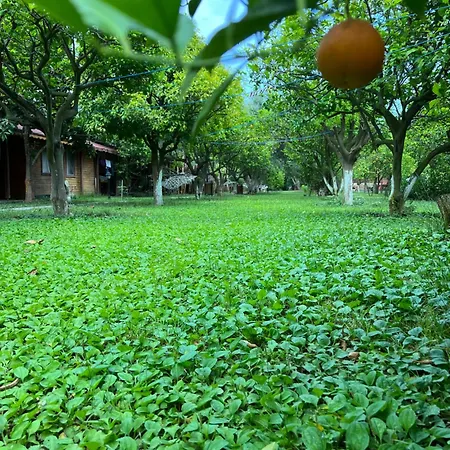 Myland Nature Parque de vacaciones 2*