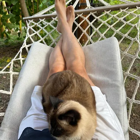 Myland Nature Çıralı