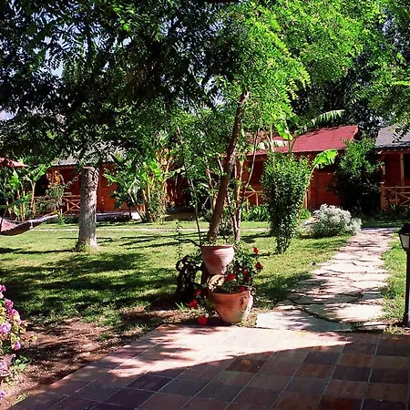 Myland Nature 2*