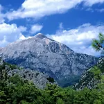 Myland Nature