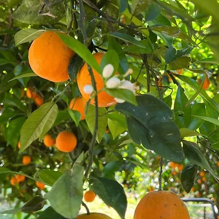 פארק נופש Myland Nature