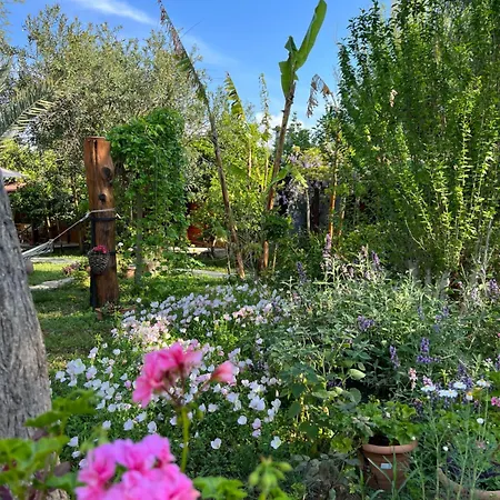 Myland Nature פארק נופש