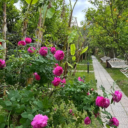 Myland Nature