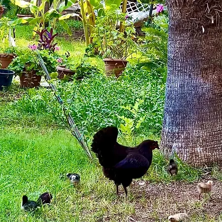 Myland Nature Ferienpark