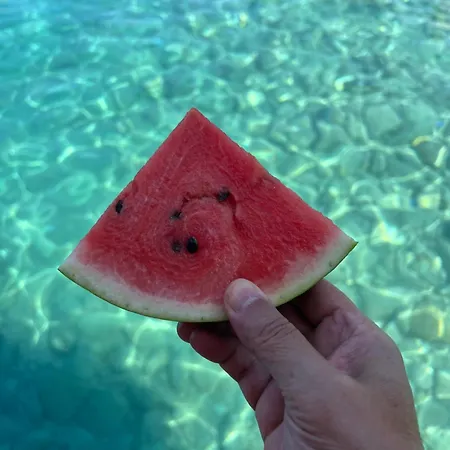 פארק נופש Myland Nature