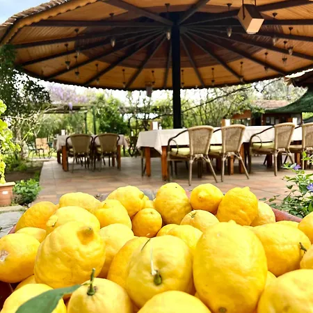 פארק נופש Myland Nature 2*