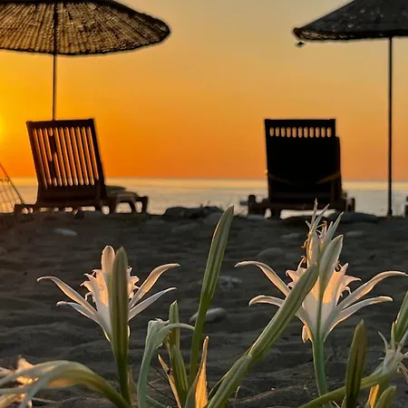 Tatil parkı Myland Nature Çıralı