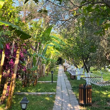 Myland Nature