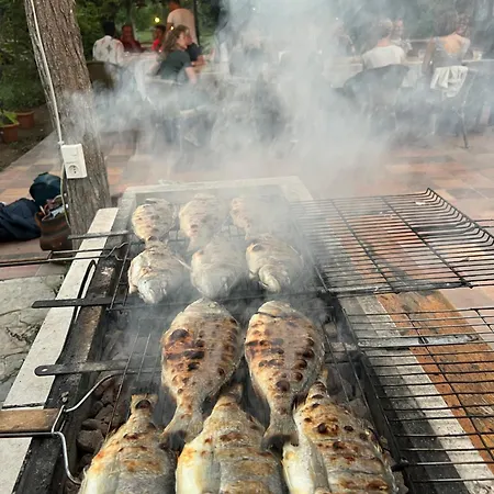 Myland Nature Çıralı