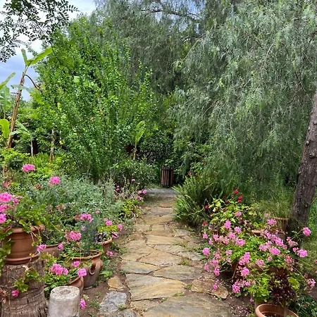 Myland Nature
