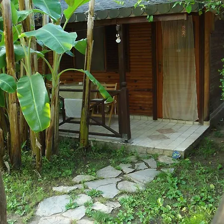 Myland Nature 2* Çıralı