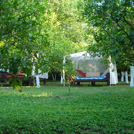 Myland Nature Çıralı