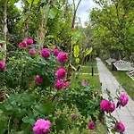 Myland Nature
