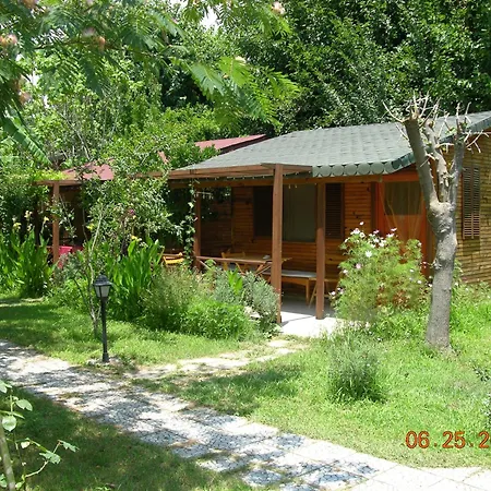Myland Nature